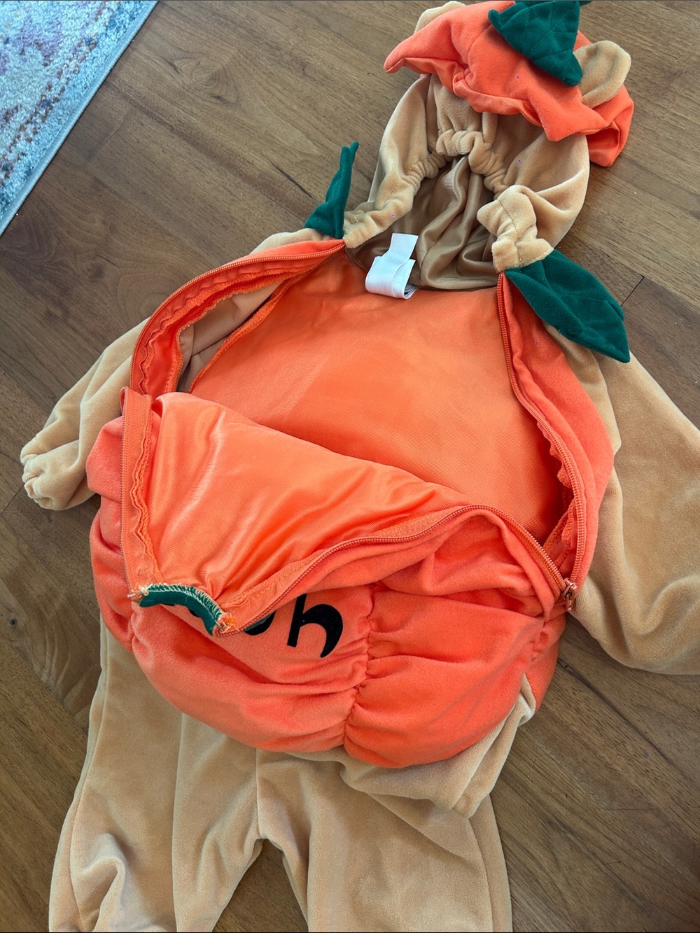 Disney Pooh Pumpkin Costume - Orange, Tan & Green - Picture 3 of 4